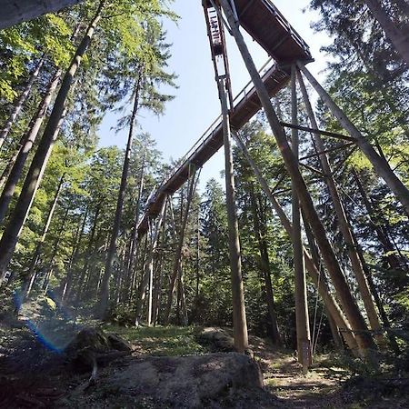 Cozy I Blockhuette Im Nationalpark I Ferienwohnung Neureichenau Eksteriør billede