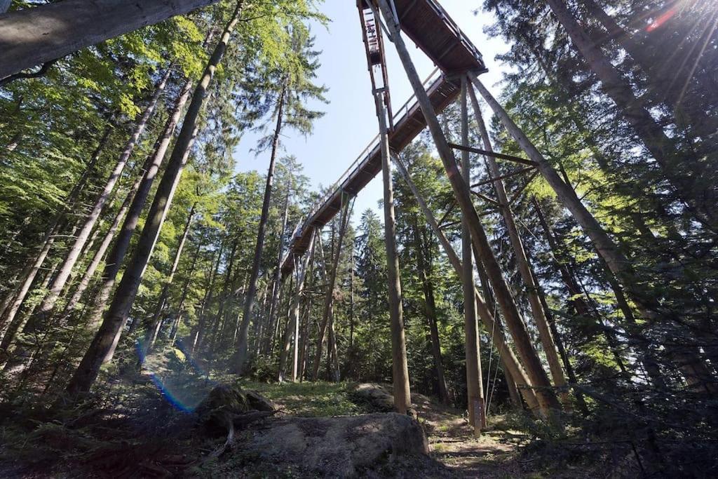 Cozy I Blockhuette Im Nationalpark I Ferienwohnung Neureichenau Eksteriør billede