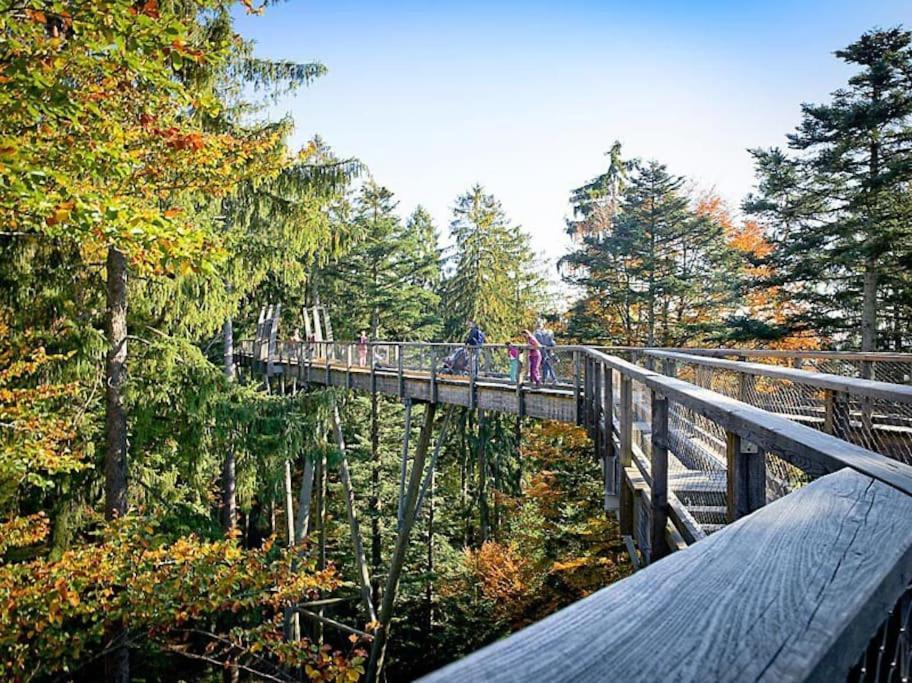 Cozy I Blockhuette Im Nationalpark I Ferienwohnung Neureichenau Eksteriør billede